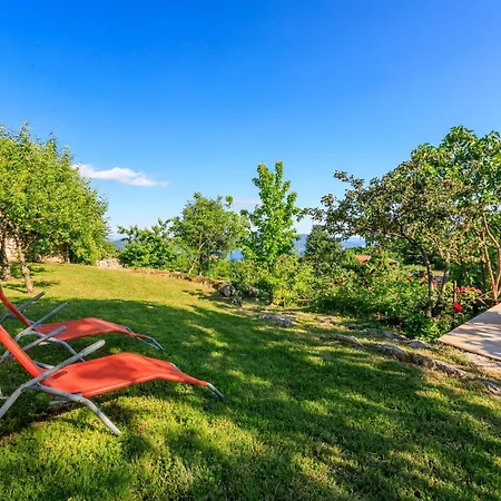 Case de vacanță House Vicky