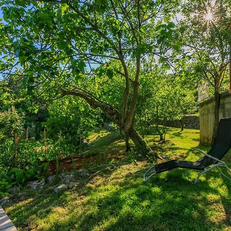 Case de vacanță House Vicky *