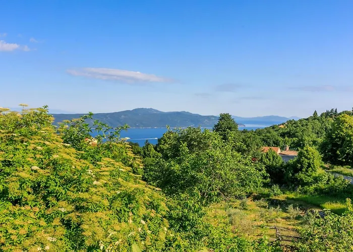 بيت للعطل House Vicky